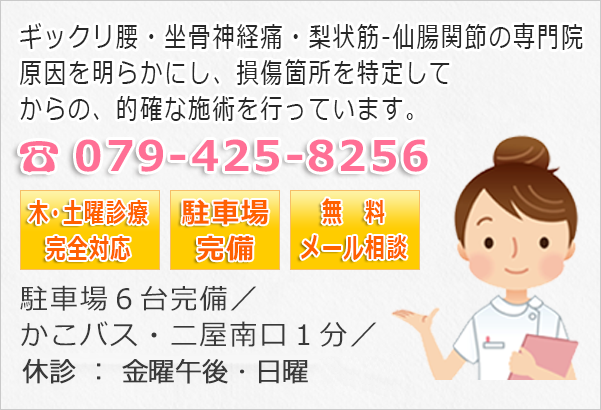 ギックリ腰・坐骨神経痛・梨状筋-仙腸関節の専門院。原因を明らかにし、損傷箇所を特定してからの、的確な施術を行っています。